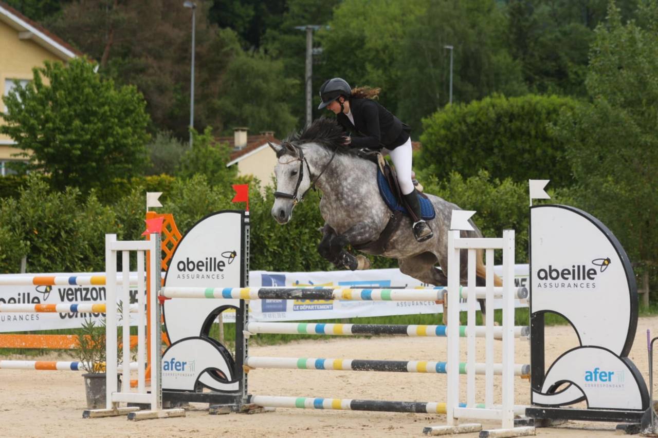 Merrie Franse rijpony PFS Te koop 2016 Schimmel ,  MOVIE STAR TILIA