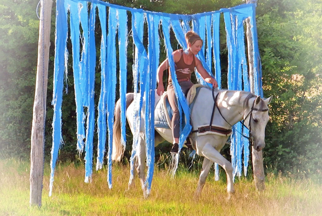 Ruin Autre Que Pur-Sang (Geen volbloed) Te koop 2015 Schimmel