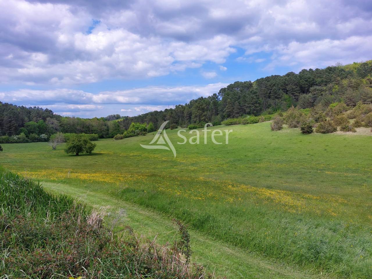 Ander plattelands vastgoed Koop Dordogne