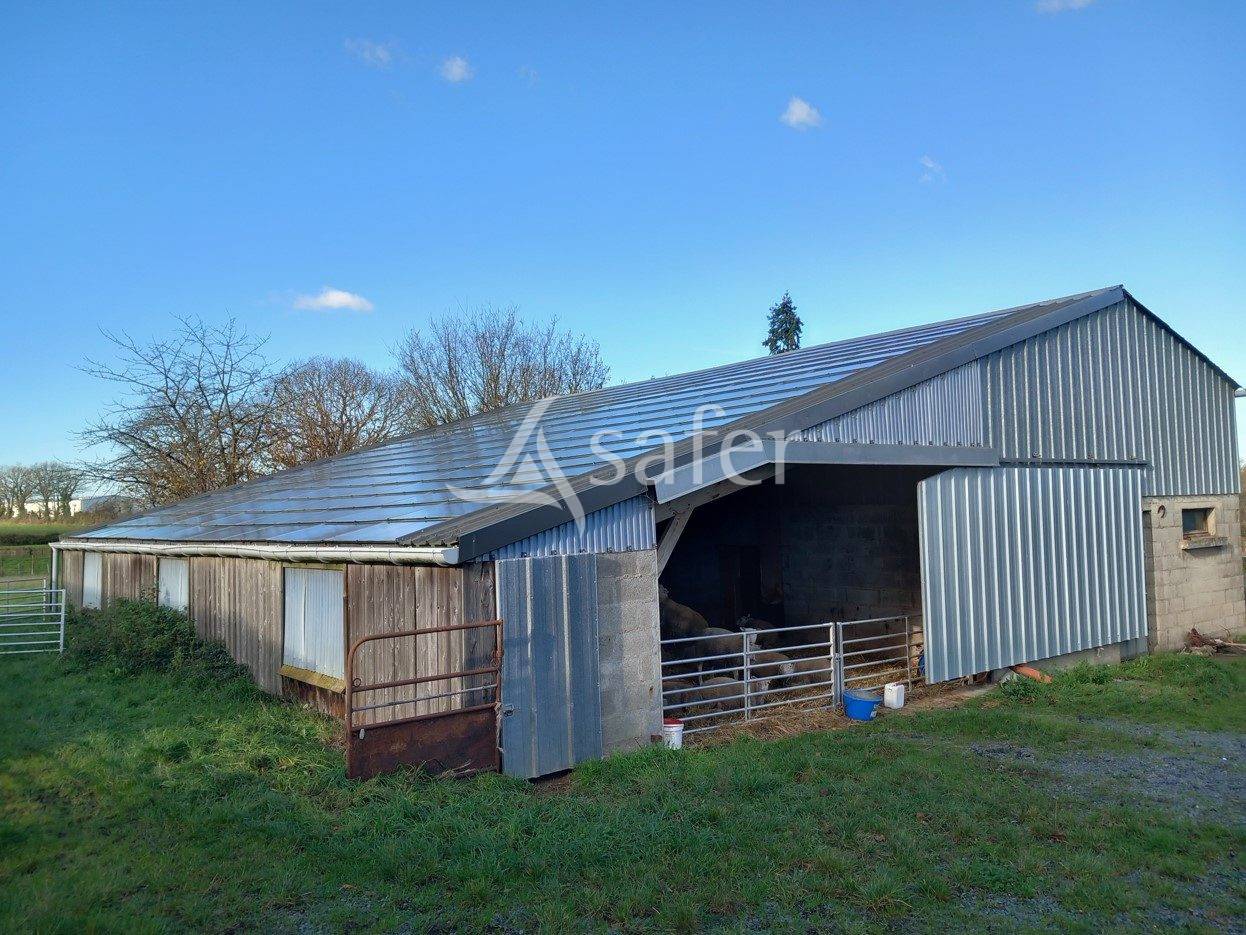 Schapen exploitatie Koop Maine-et-Loire