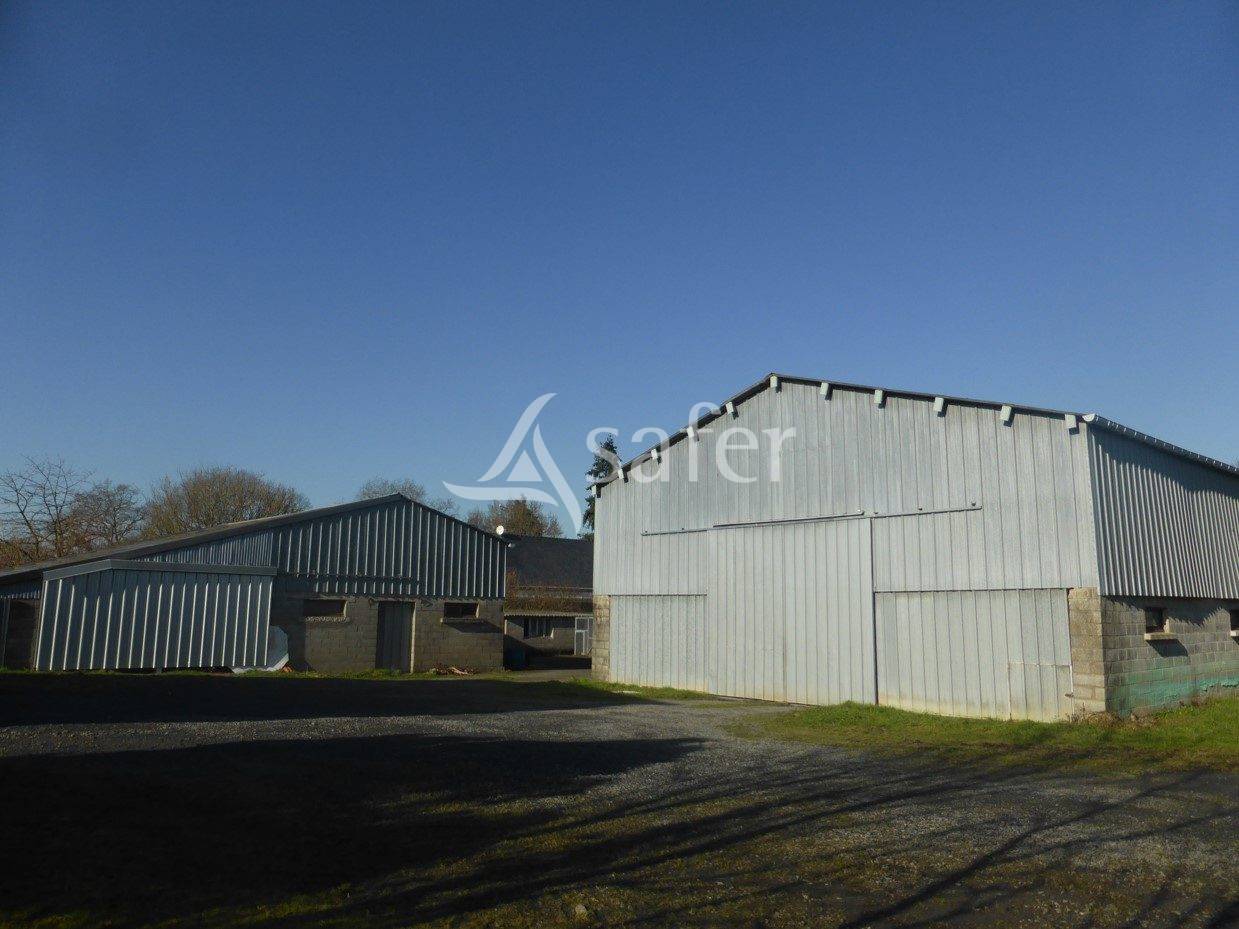 Schapen exploitatie Koop Maine-et-Loire