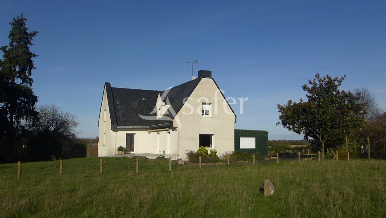 Schapen exploitatie Koop Maine-et-Loire