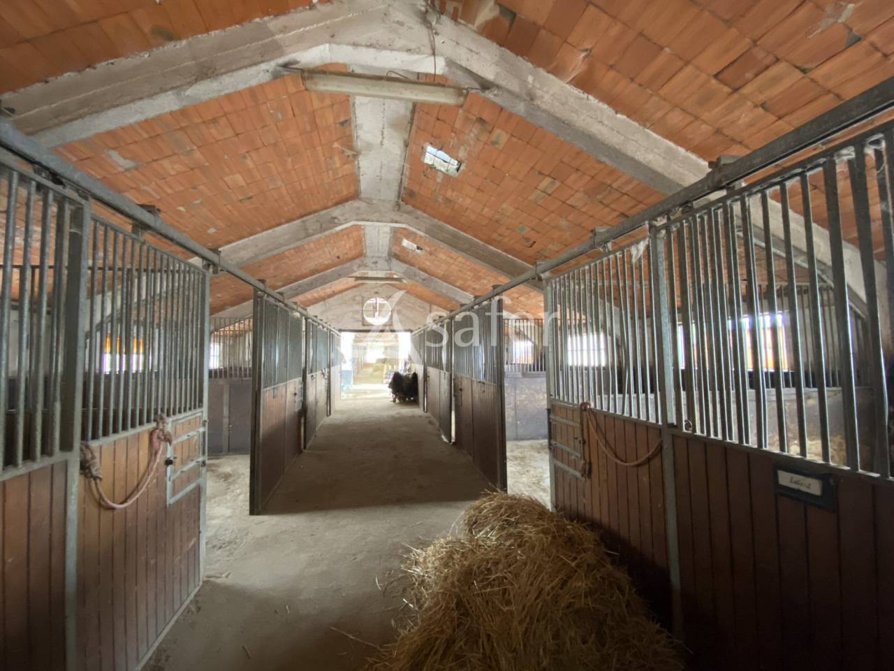 Hippisch vastgoed Koop Orne