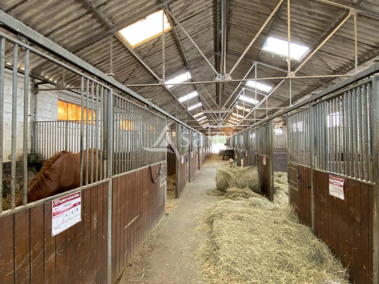 Hippisch vastgoed Koop Orne