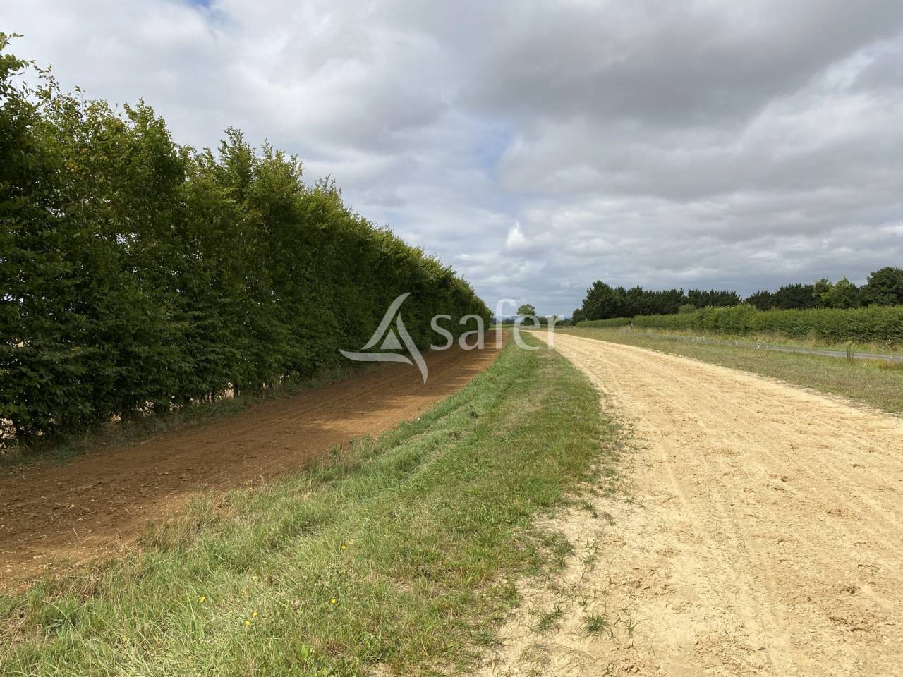 Hippisch vastgoed Koop Orne