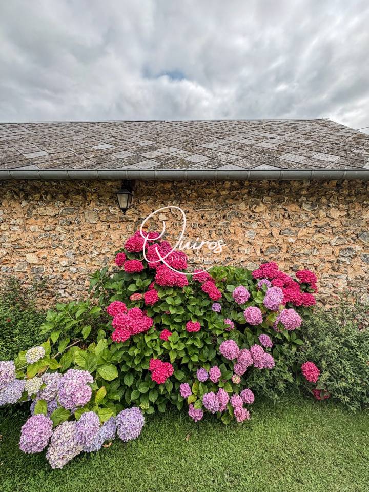 Hippisch vastgoed Koop Eure