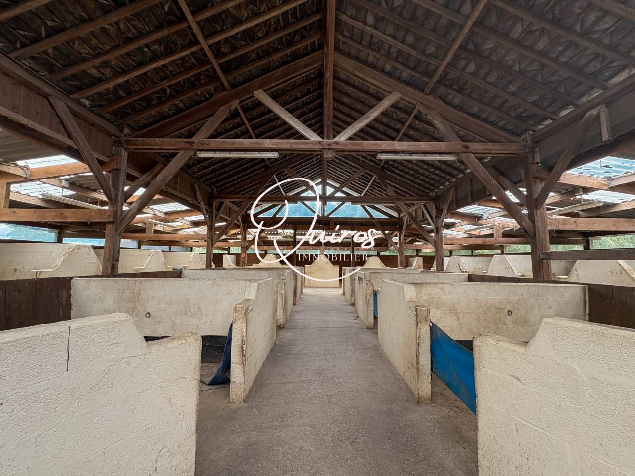 Hippisch vastgoed Koop Eure