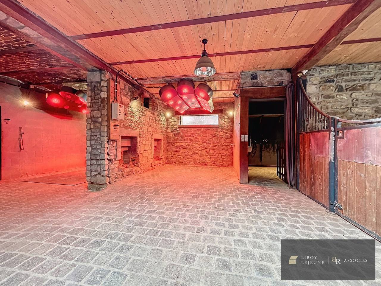 Paarden boerderij Koop Namur