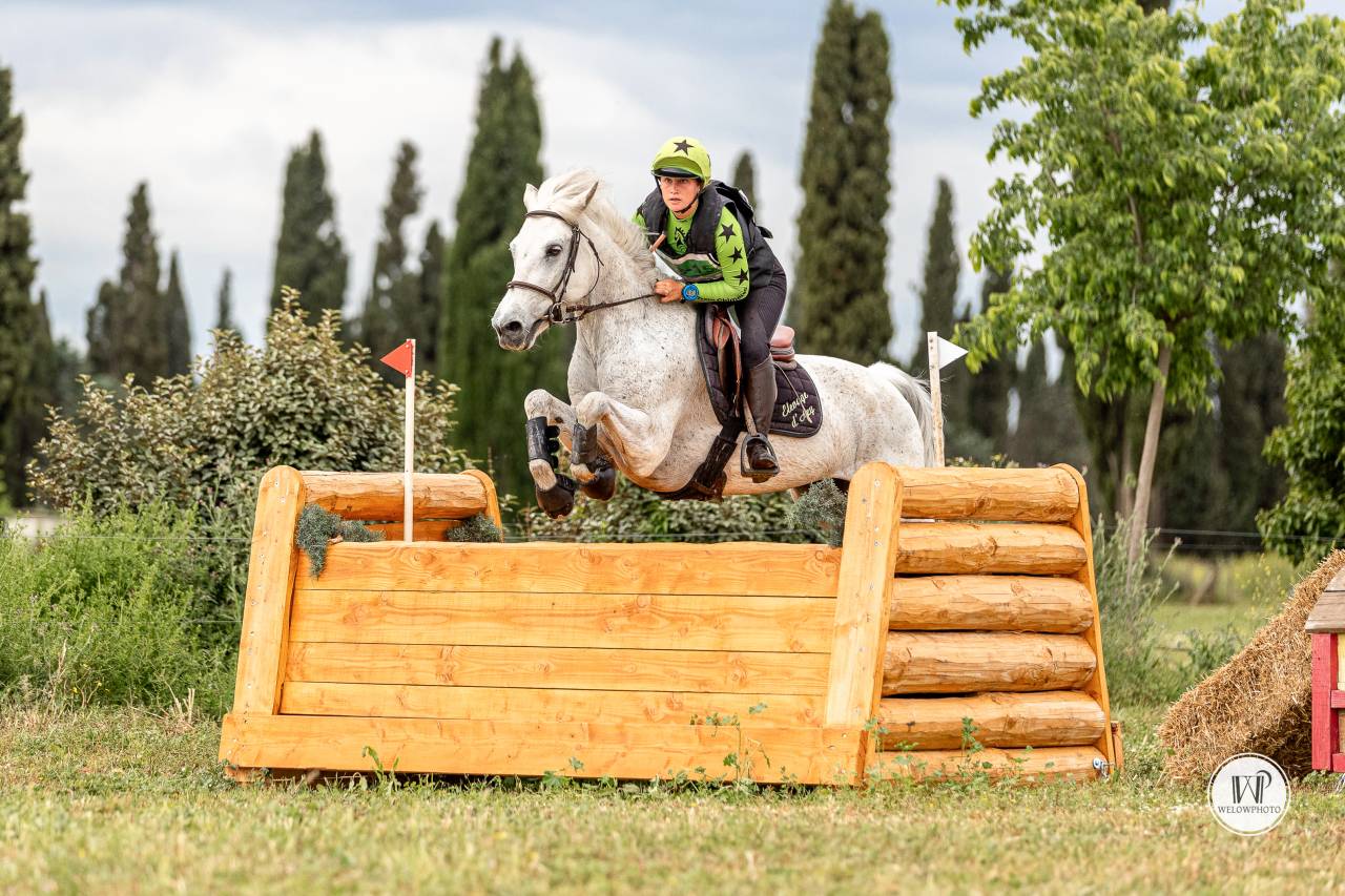 Ruin Connemara Te koop 2015 Schimmel ,  ADAGIO PONTHOUAR