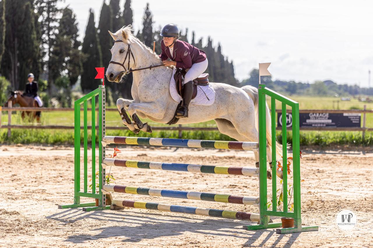 Ruin Connemara Te koop 2015 Schimmel ,  ADAGIO PONTHOUAR