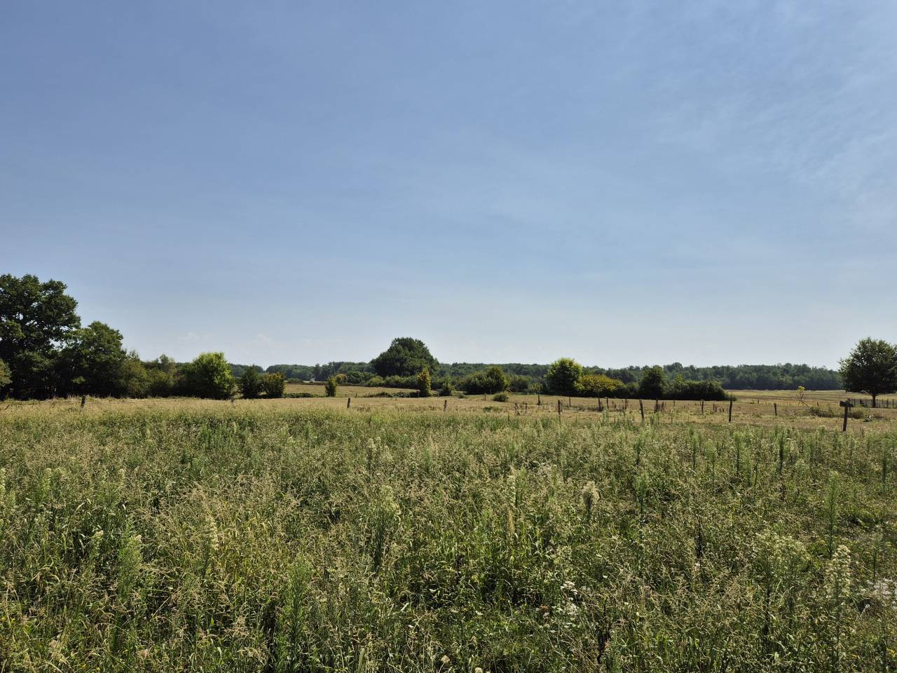 Paarden boerderij Koop Saône-et-Loire