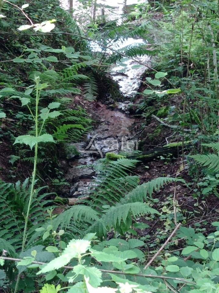 Bos exploitatie Koop Saône-et-Loire