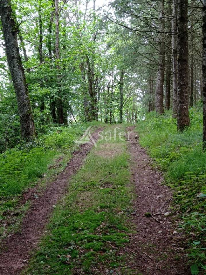 Bos exploitatie Koop Saône-et-Loire
