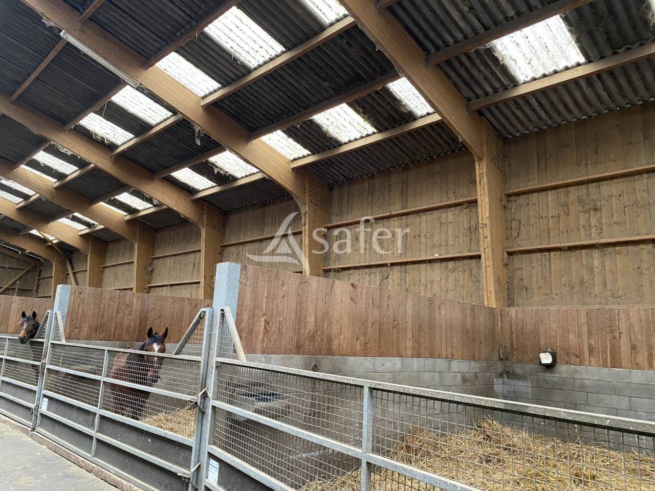 Landbouw bedrijf Koop Orne