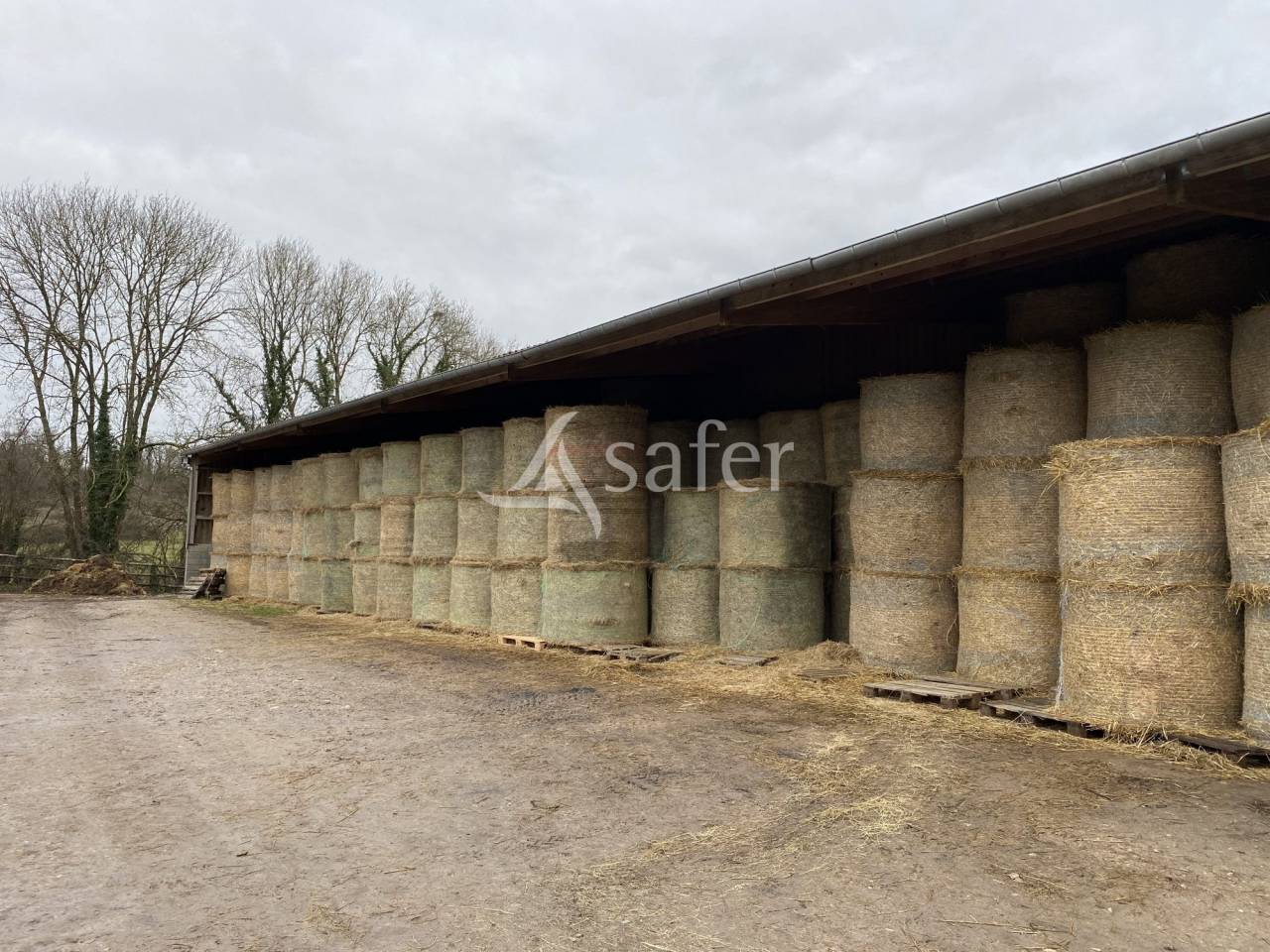 Landbouw bedrijf Koop Orne