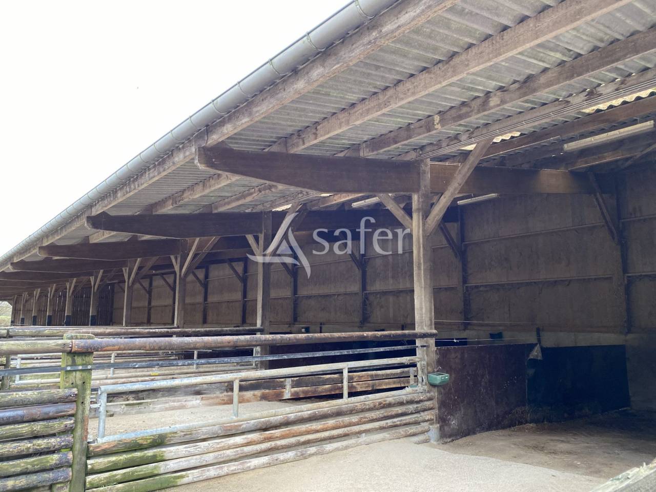 Landbouw bedrijf Koop Orne