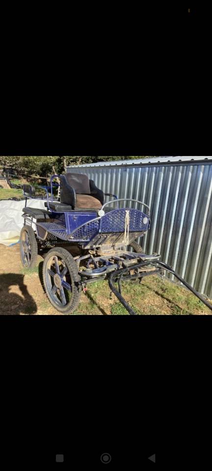 Rijtuigen - Ander rijtuig   