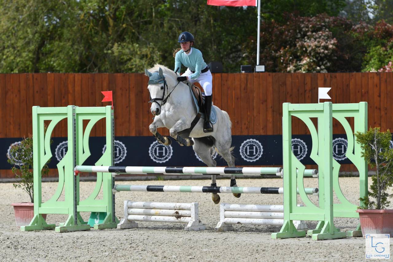 Veulen (ml) Franse rijpony PFS Te koop 2025 Schimmel ,  Rexter d’or