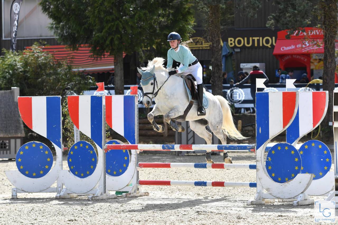 Veulen (ml) Franse rijpony PFS Te koop 2025 Schimmel ,  Rexter d’or