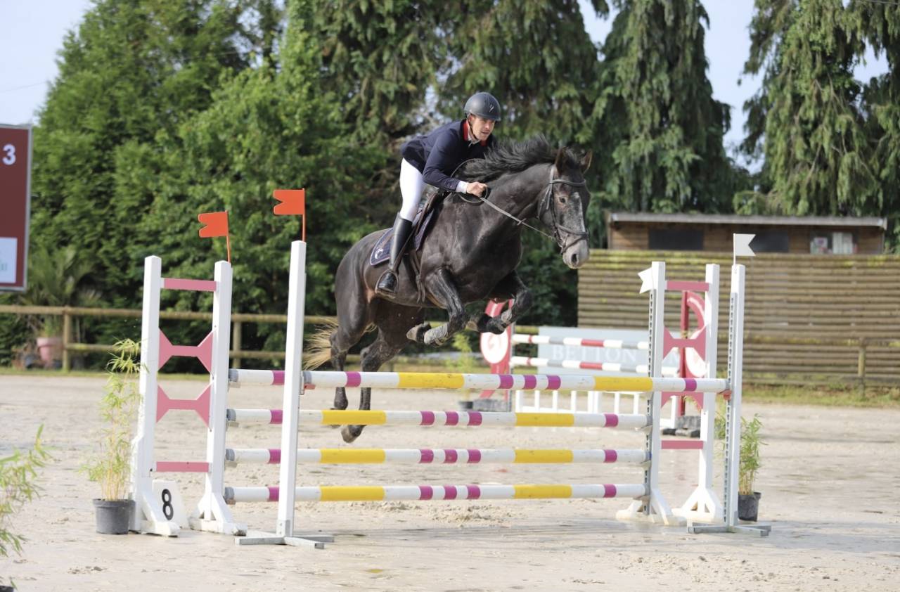 Ruin Selle Français Te koop 2021 Schimmel ,  EXPRESS DE HUS