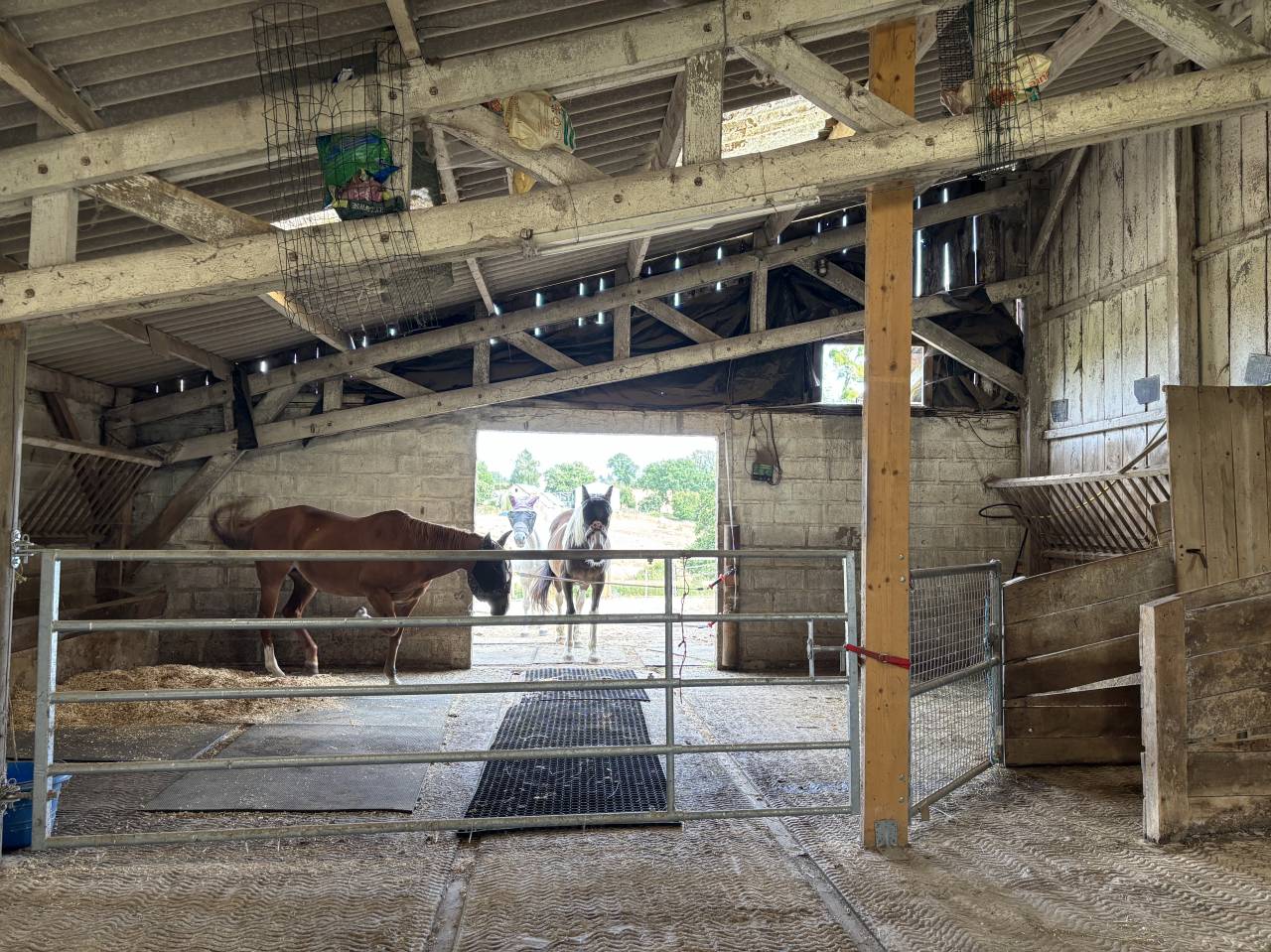 Hippisch vastgoed Koop Mayenne