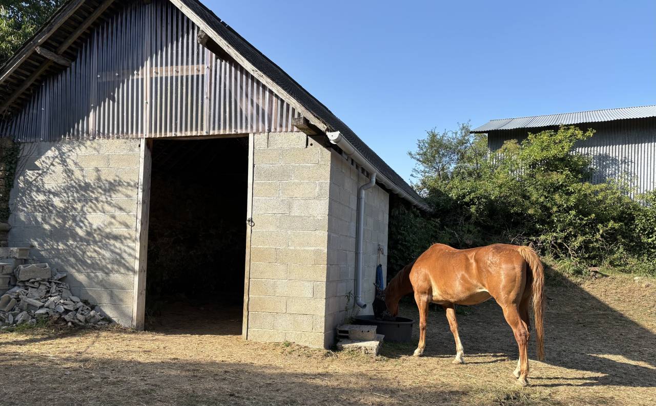 Hippisch vastgoed Koop Mayenne