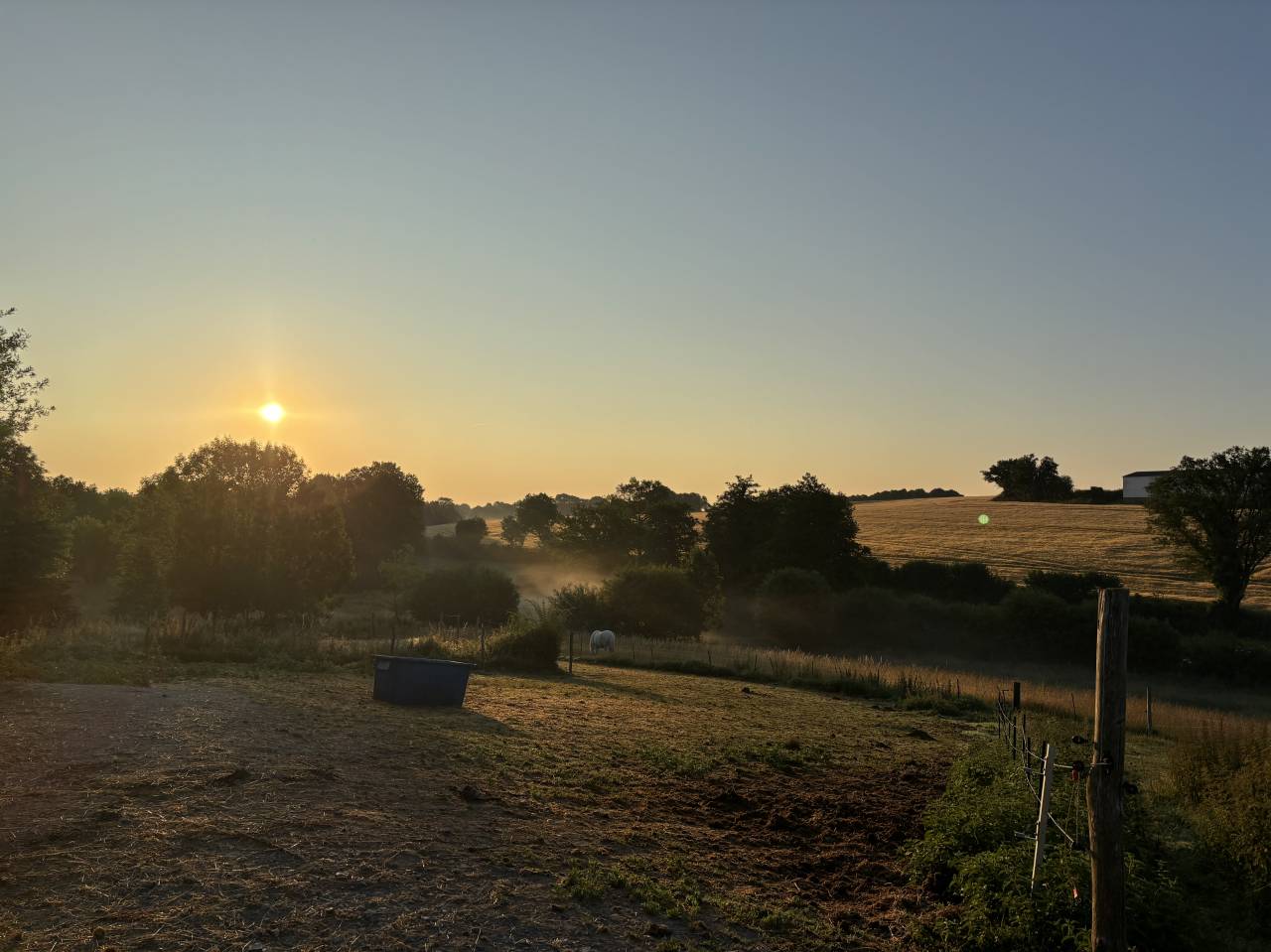 Hippisch vastgoed Koop Mayenne