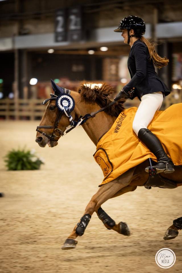 Ruin Franse rijpony PFS Te koop 2011 Vos ,  jocker de treho