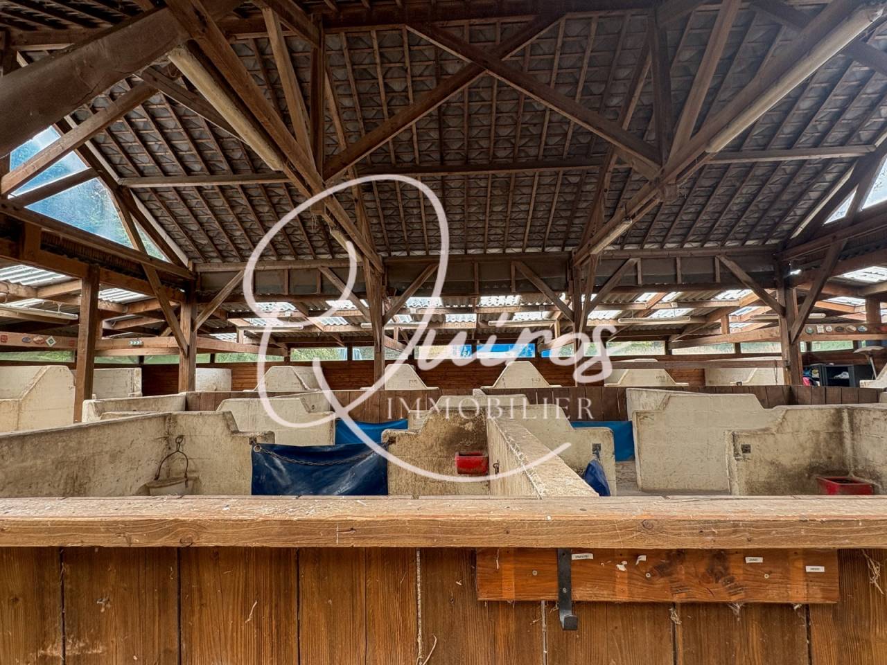 Ruiterclub Koop Eure