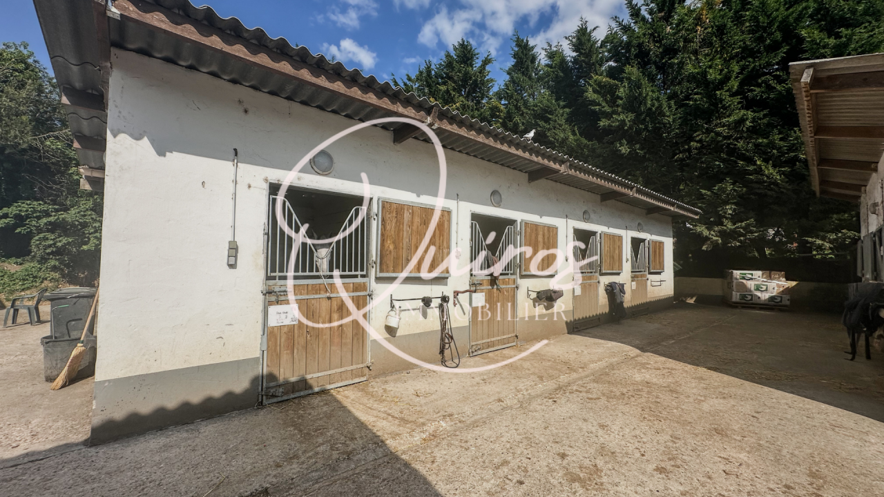 Ruiterclub Koop Yvelines