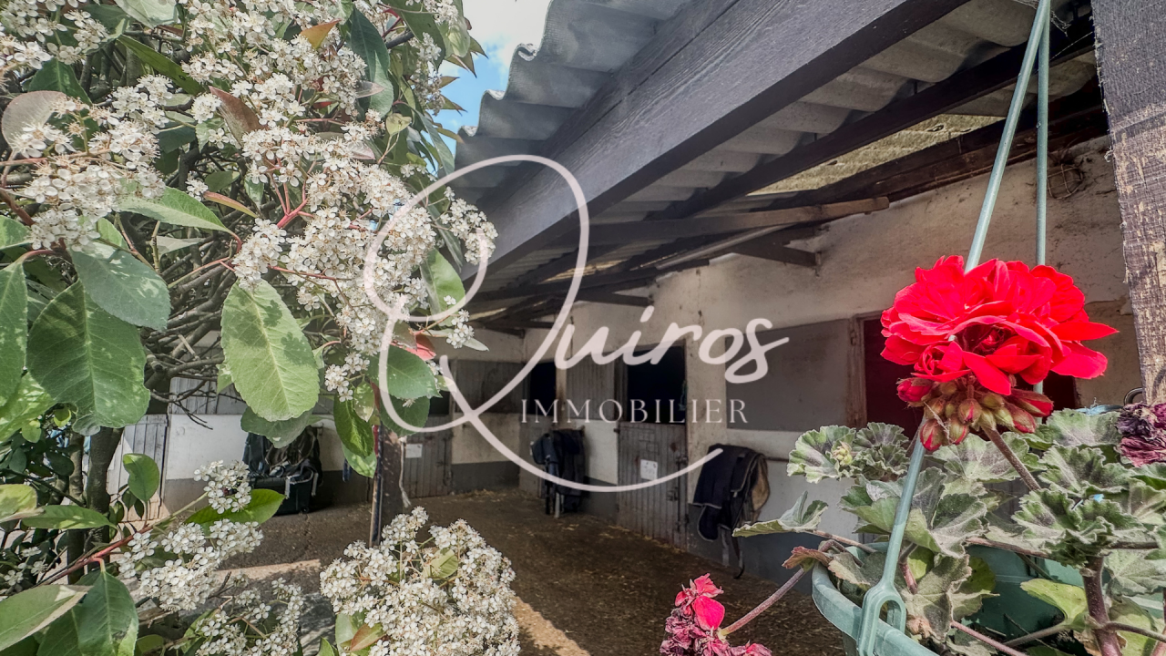 Ruiterclub Koop Yvelines