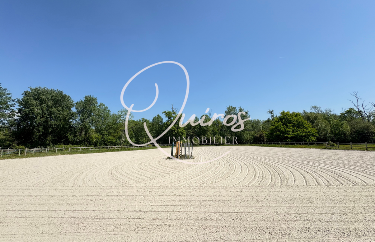 Eigenaren stal Koop Seine-et-Marne