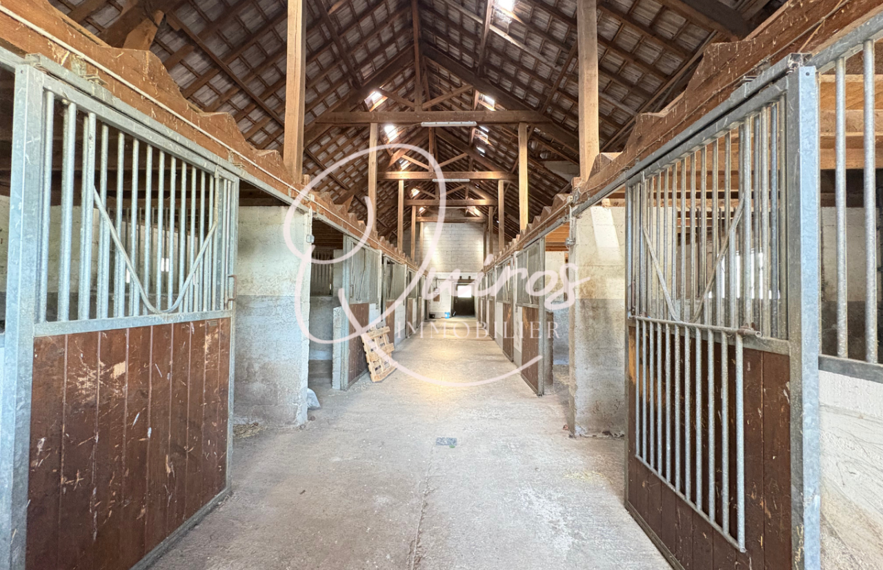 Eigenaren stal Koop Seine-et-Marne