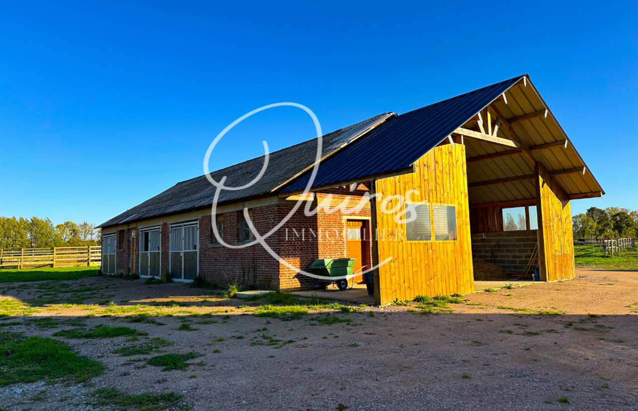 Mooi hippisch vastgoed Koop Calvados