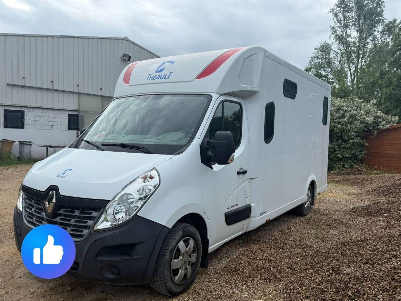 Kleine paardenvrachtwagen (B rijbewijs) Renault  2017 Tweedehands