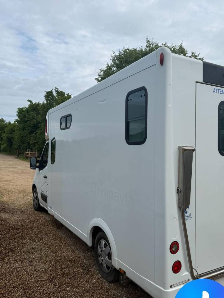 Kleine paardenvrachtwagen (B rijbewijs) Renault  2017 Tweedehands
