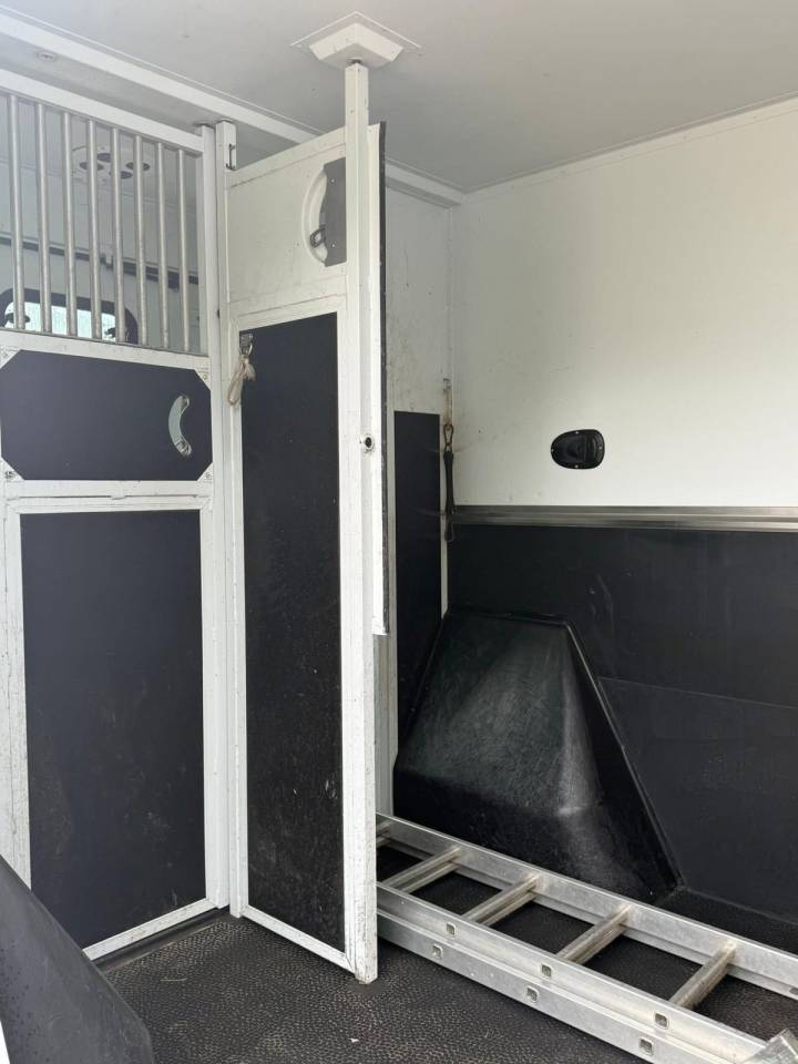 Kleine paardenvrachtwagen (B rijbewijs) Renault  2017 Tweedehands