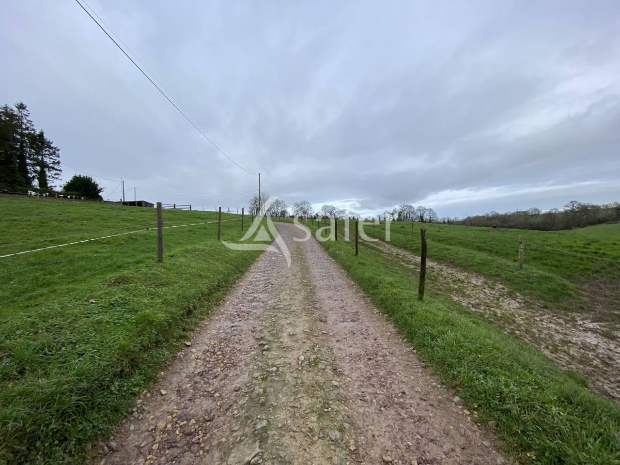 Bos exploitatie Koop Calvados