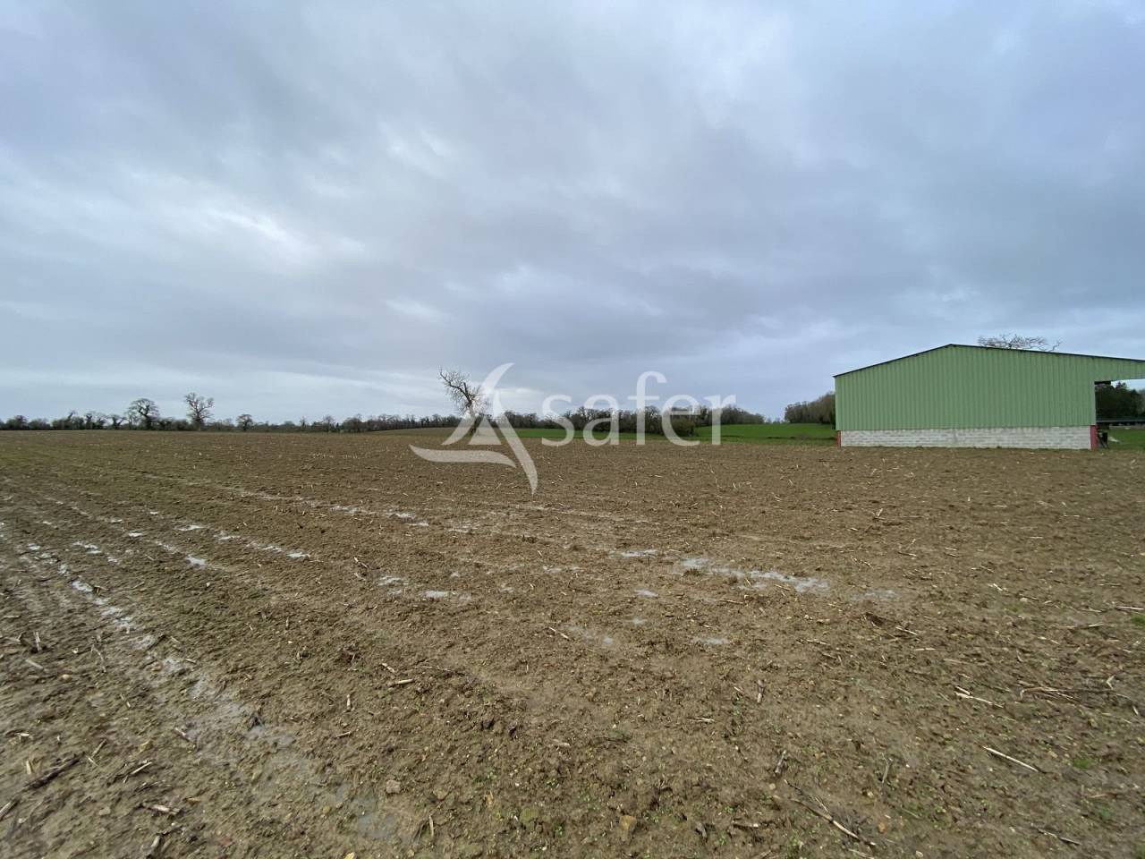 Bos exploitatie Koop Calvados