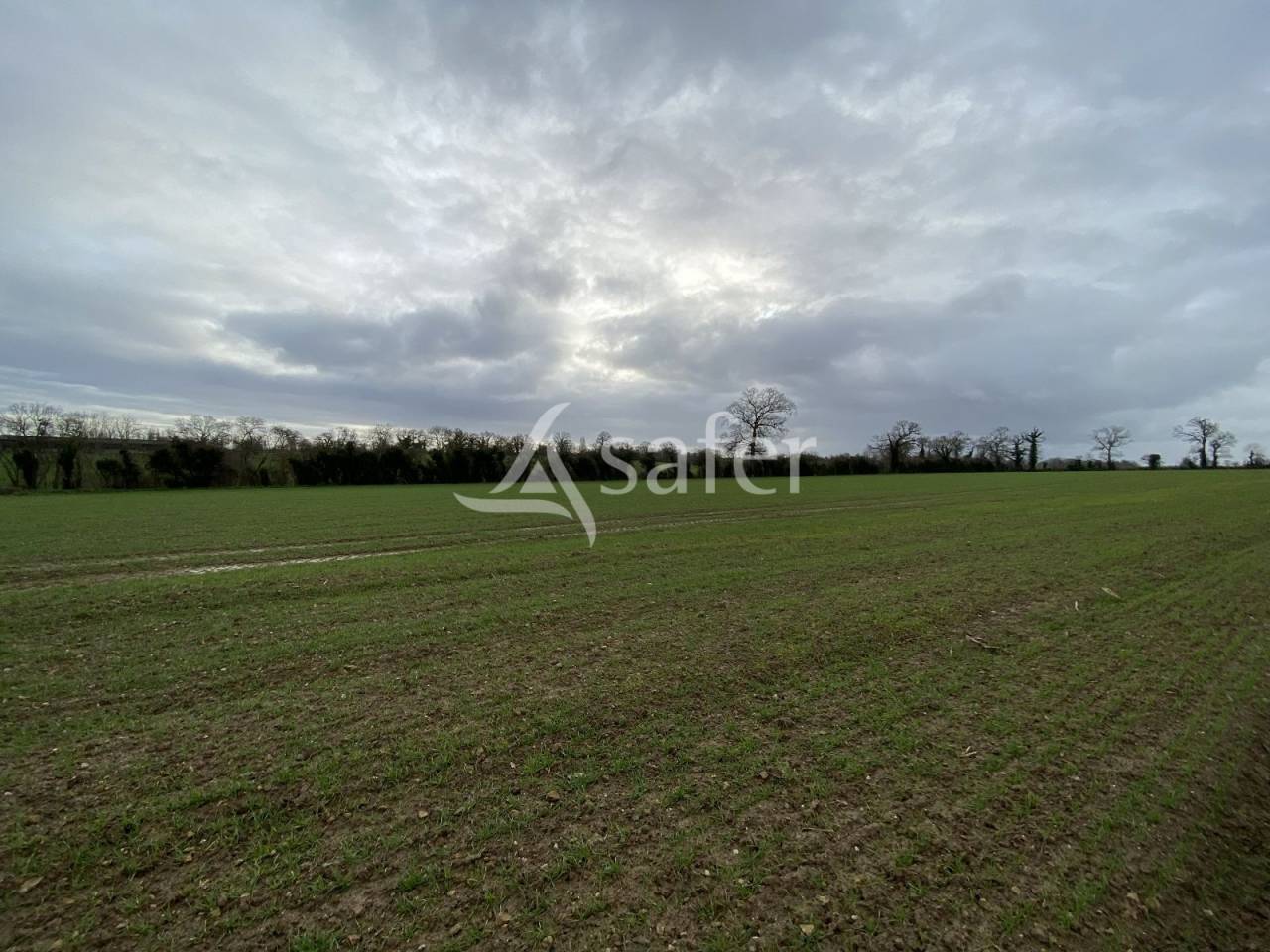 Bos exploitatie Koop Calvados