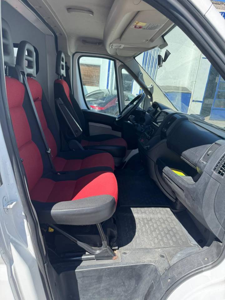 Kleine paardenvrachtwagen (B rijbewijs) AP Petit  2013 Tweedehands