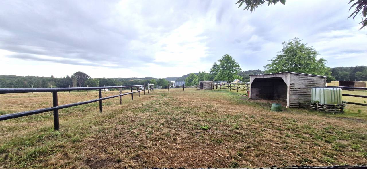 Mooi hippisch vastgoed Koop Morbihan