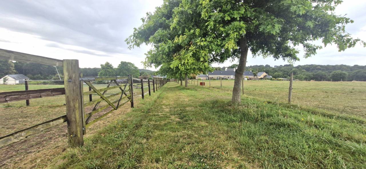 Mooi hippisch vastgoed Koop Morbihan