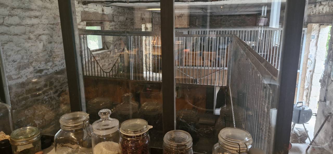 Mooi hippisch vastgoed Koop Morbihan