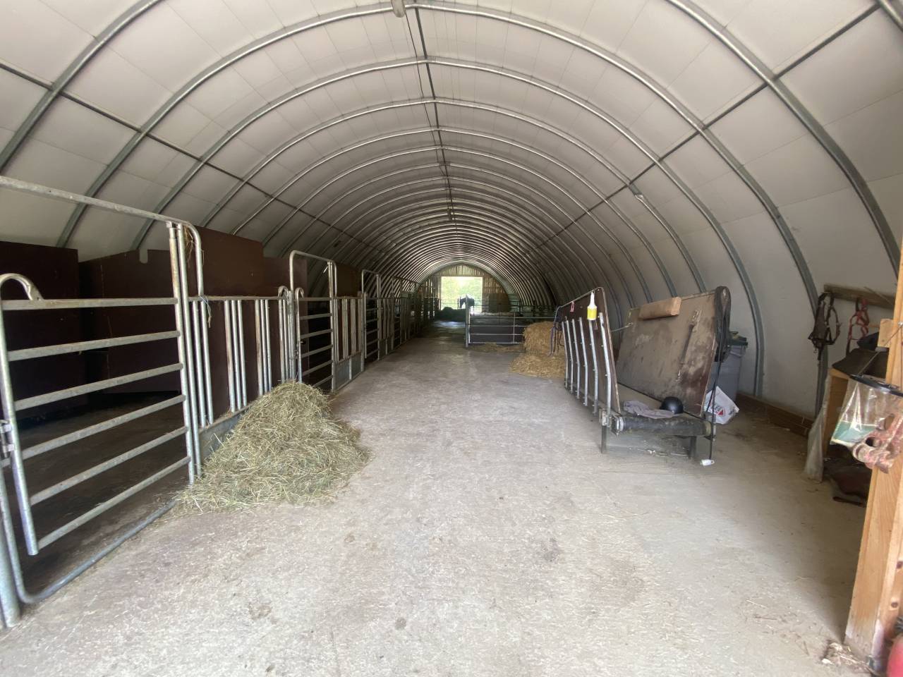 Stoeterij Koop Doubs