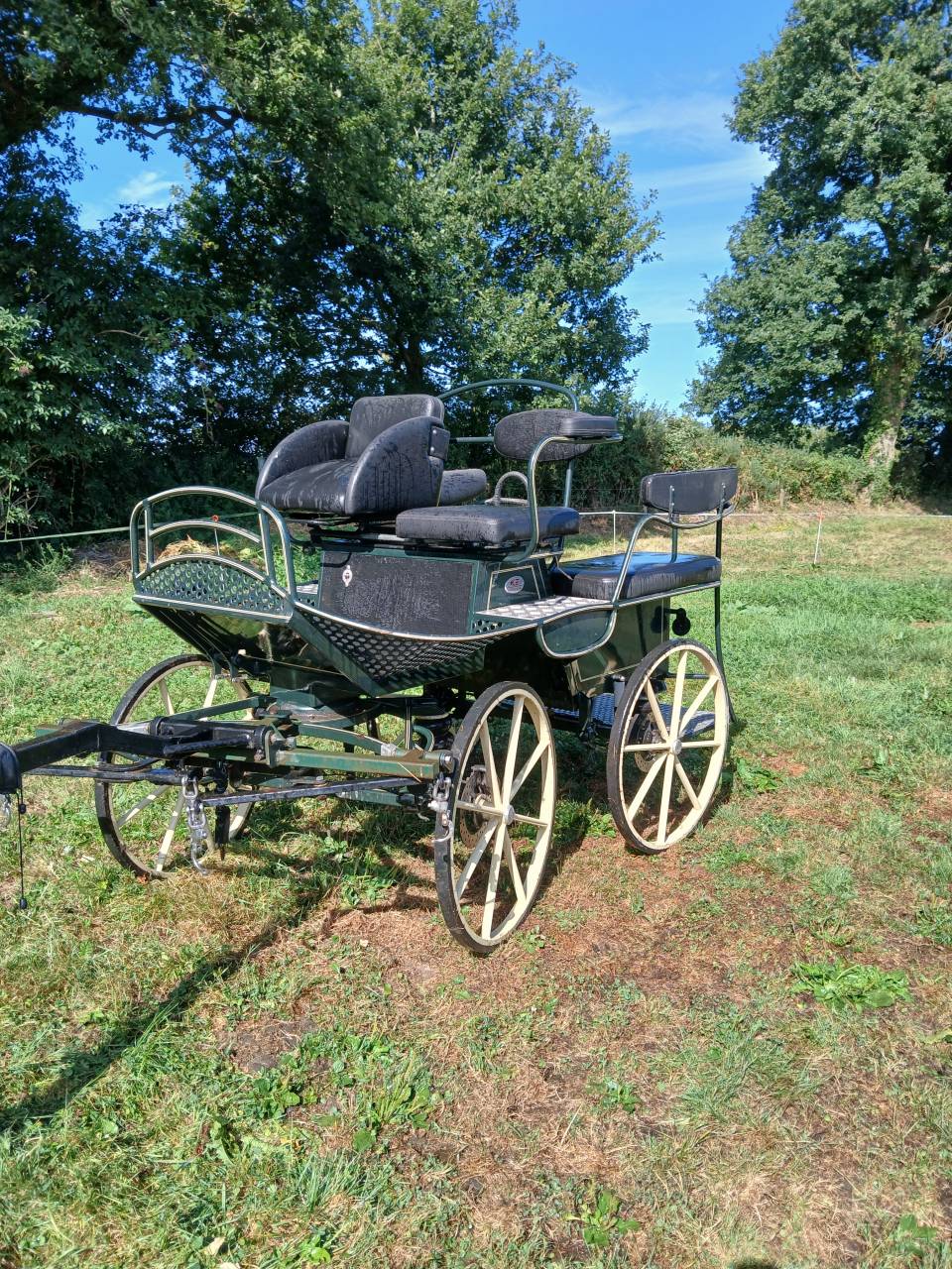 Rijtuigen - Marathon vrijetijd - Ander merk - GLINKOWSKI TR5 