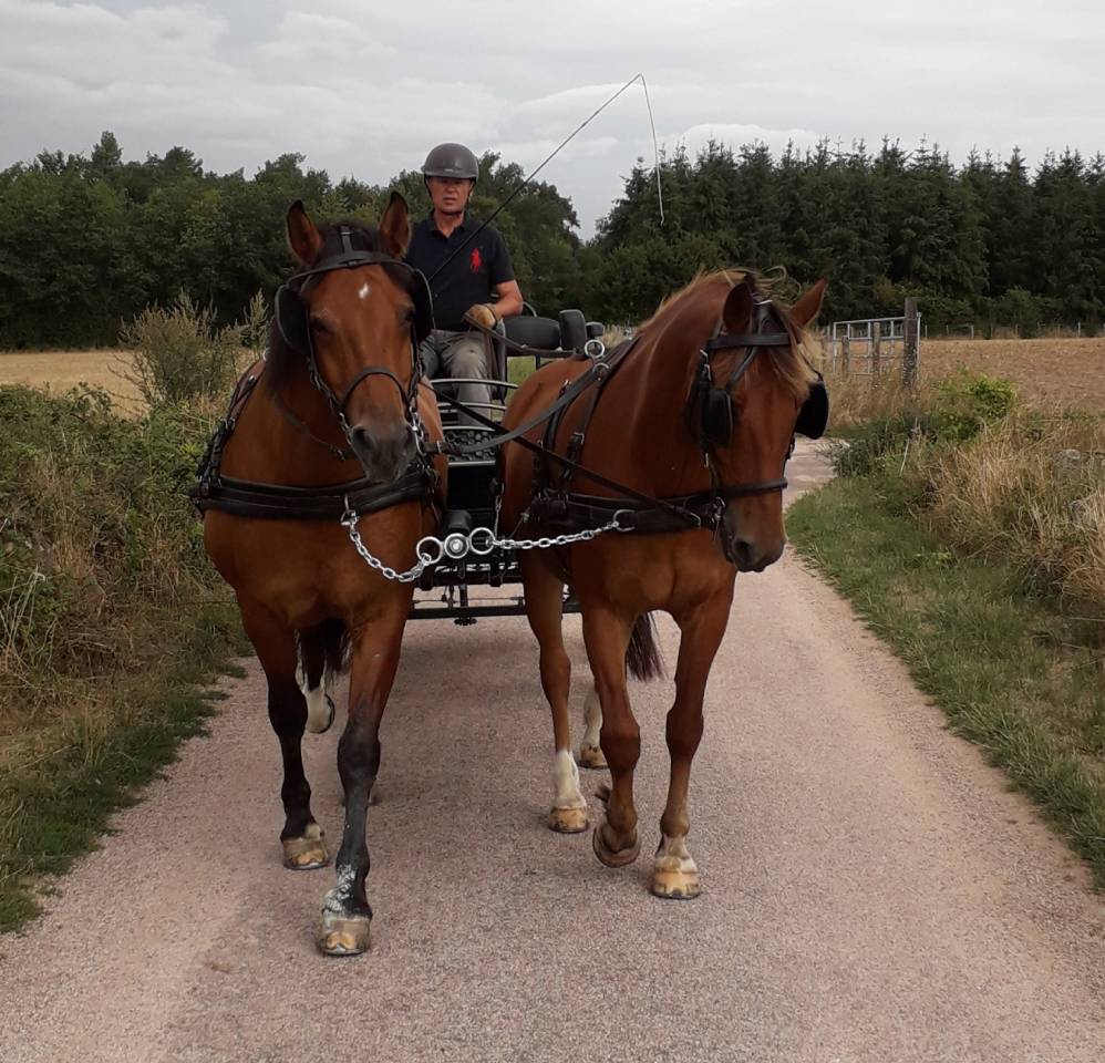 Rijtuigen - Marathon vrijetijd - Ander merk - GLINKOWSKI TR5 