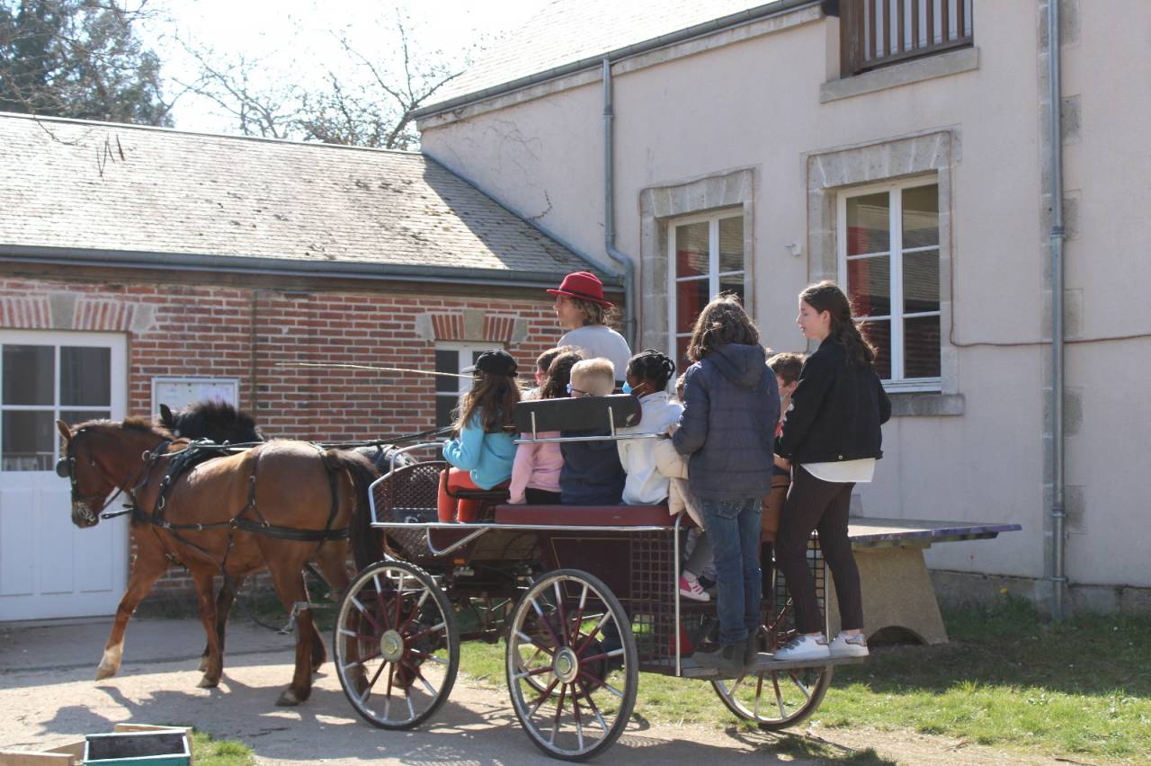 Rijtuigen - Marathon vrijetijd   