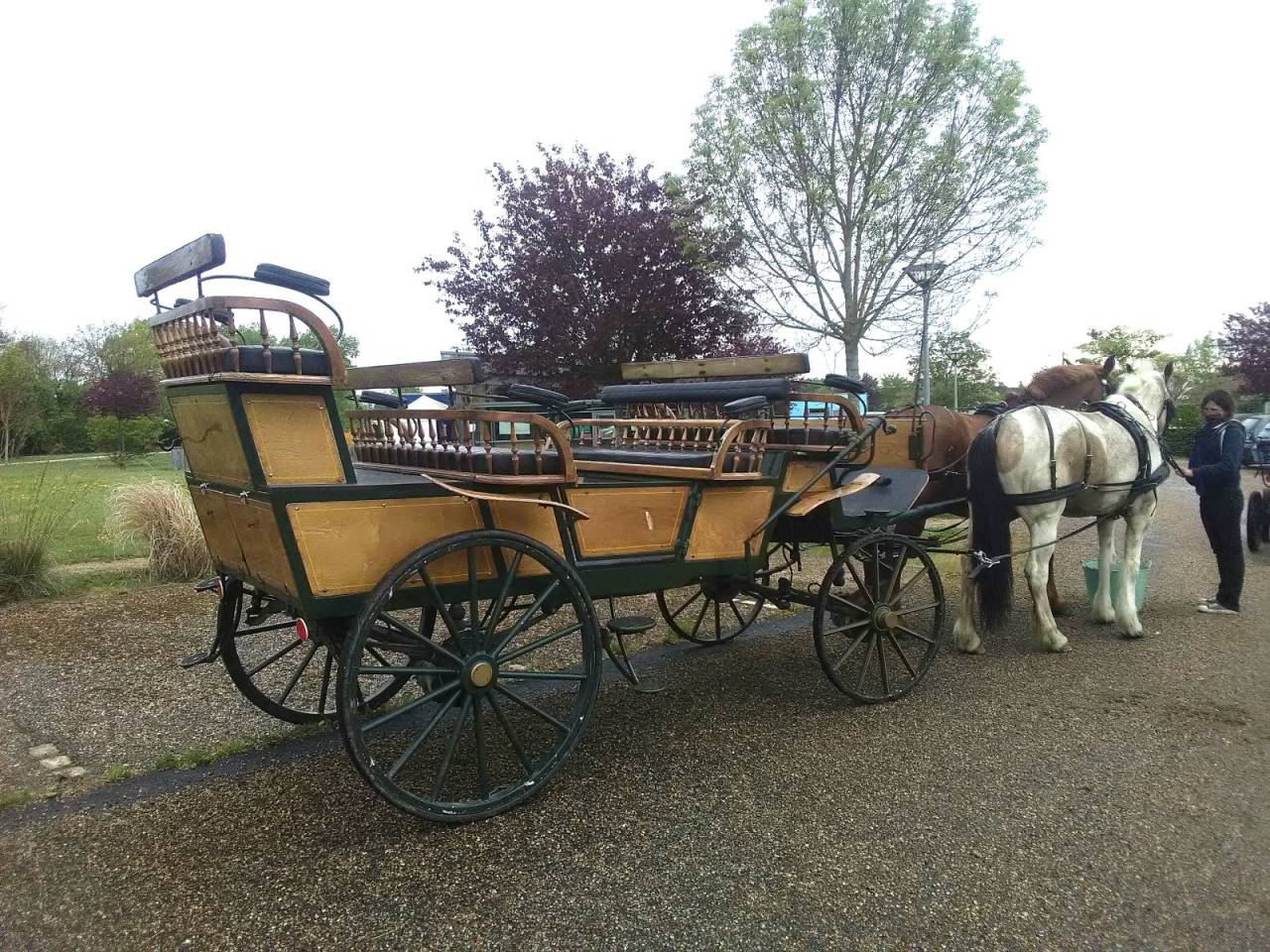 Rijtuigen - Calèche   