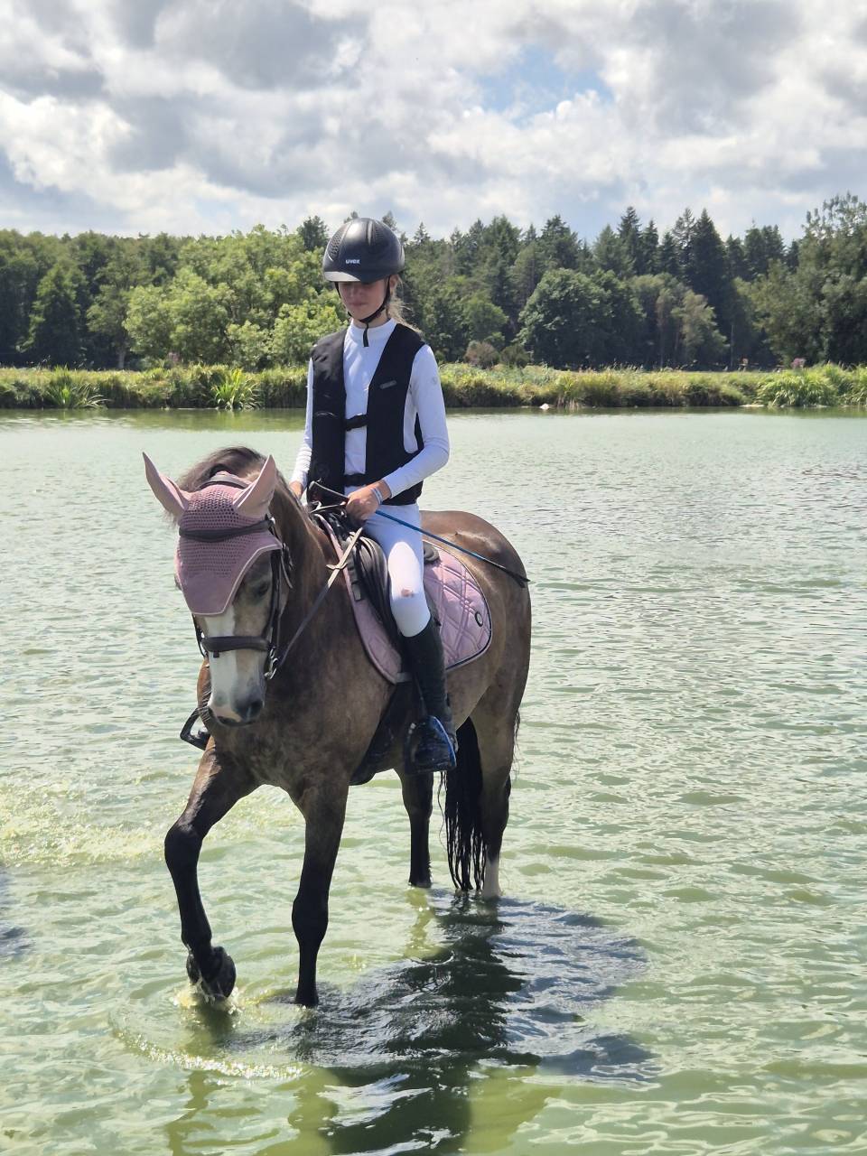 Ruin Connemara Te koop 2018 Isabel